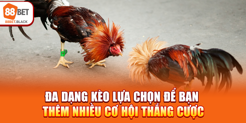 Đa dạng kèo lựa chọn để bạn thêm nhiều cơ hội thắng cược
