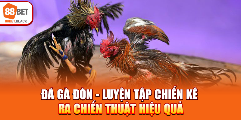 da-ga-don-luyen-tap-chien-ke-ra-chien-thuat-hieu-qua